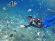 Snorkeling at Shimizu Island (nope, that's not me. It's my Czech boatmate)